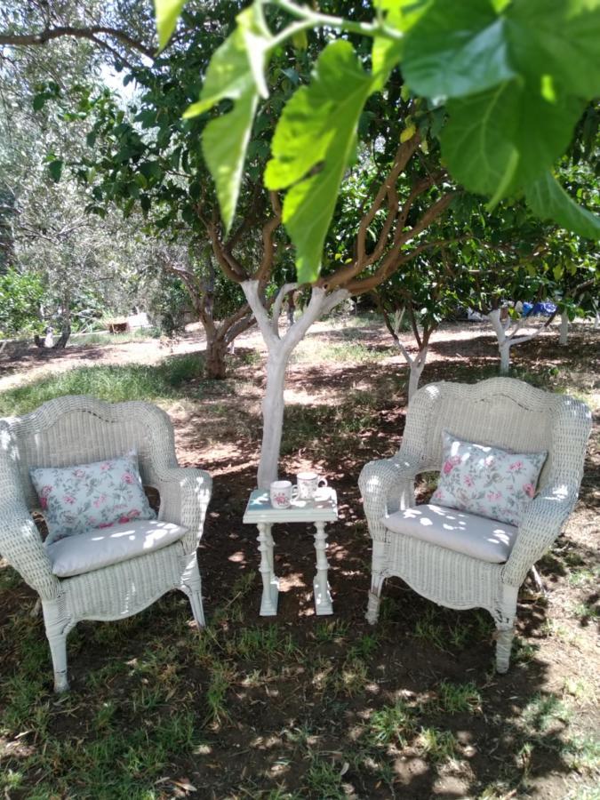 Nikis Home Ретимно Екстериор снимка